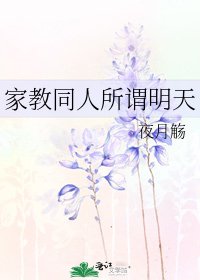 《家教同人所谓明天》