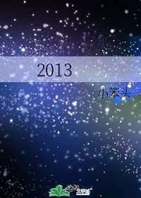《2013》