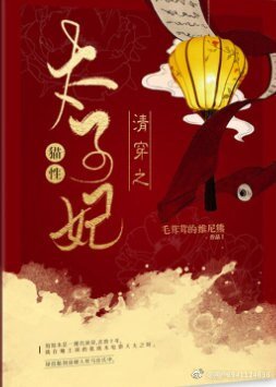 《清穿之猫性太子妃》