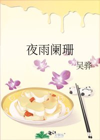 《夜雨阑珊》