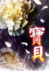 寶貝