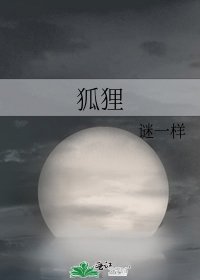 《狐狸》