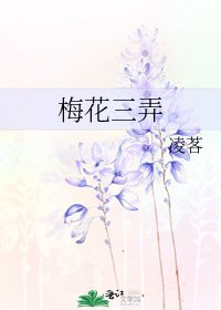 《梅花三弄》