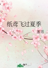 《纸鸢飞过夏季》