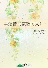 《半弦音(家教同人)》