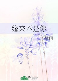 《缘来不是你》