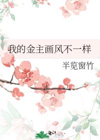 《我的金主画风不一样》