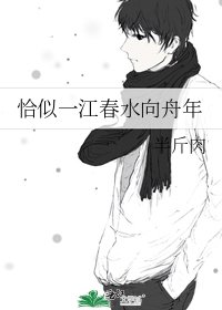 恰似一江春水向舟年