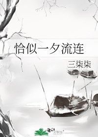 《恰似一夕流连》