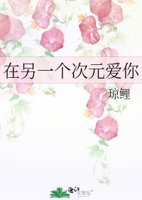 在另一个次元爱你