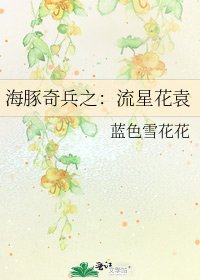 海豚奇兵之：流星花袁