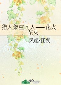 《猎人架空同人——花火,花火》