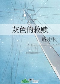 《灰色的救赎》