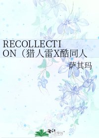 《RECOLLECTION(獵人雷X酷同人)》