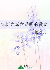 《记忆之城之透明的爱恋》