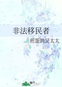 非法移民者