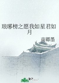 （琅琊榜同人）琅琊榜之愿我如星君如月