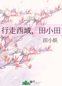 《行走西域,田小田》
