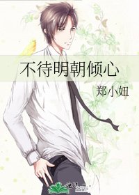 《不待明朝倾心》
