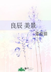 《良辰 美景》