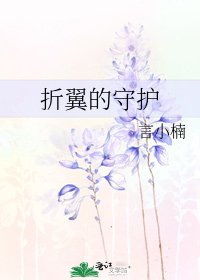 折翼的守护