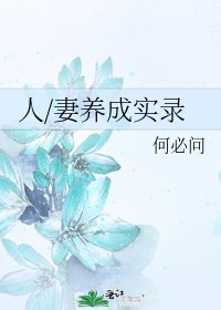 人/妻养成实录