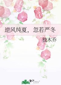 《逆風純夏,忽若嚴冬》