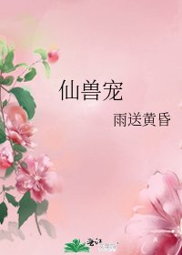 《仙兽宠》
