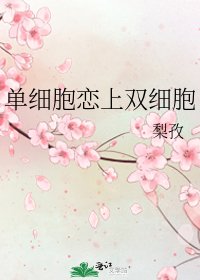 《单细胞恋上双细胞》