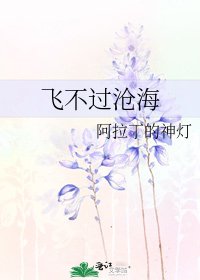 《飞不过沧海》