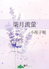 《柒月流萤》