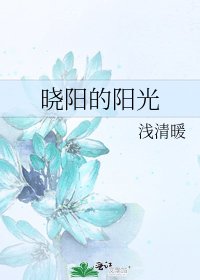 《晓阳的阳光》