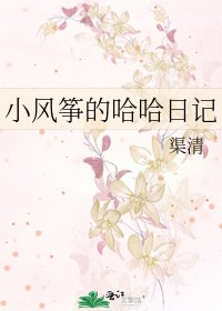 《小风筝的哈哈日记》