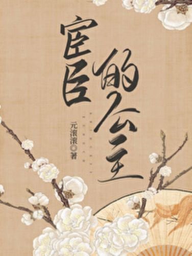 《宦臣的公主》