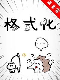 《格式化》
