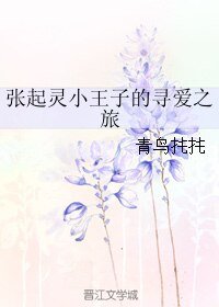 （BL/盗墓笔记同人）张起灵小王子的寻爱之旅