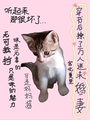 《穿書後撩了萬人迷未婚妻》