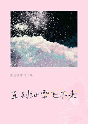 《直到细雪飞下来》
