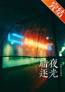 《暗夜逐光》