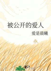 《被公开的爱人 》