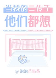 《(排球少年同人)他们都想当我的二传手》