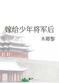 《嫁给少年将军后》