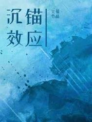 《沉锚效应》