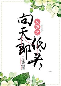 《女尊之向夫郎低头》