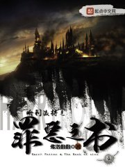 《(HP同人)哈利波特之罪恶之书》