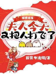 報告將軍，夫人今天又把人打飛了