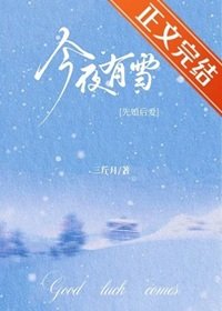 今夜有雪[先婚後愛]