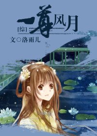 （综同人/BG）一尊风月