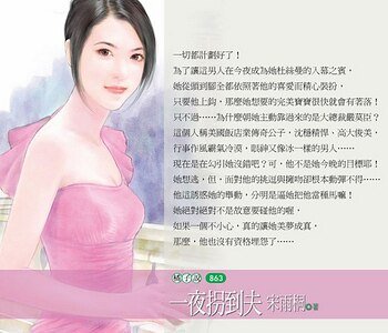 一夜拐到夫（宝贝炸弹之二）