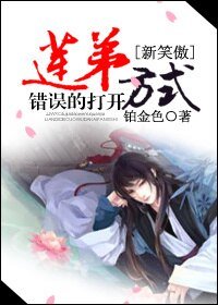 （BL/新笑傲同人）莲弟错误的打开方式